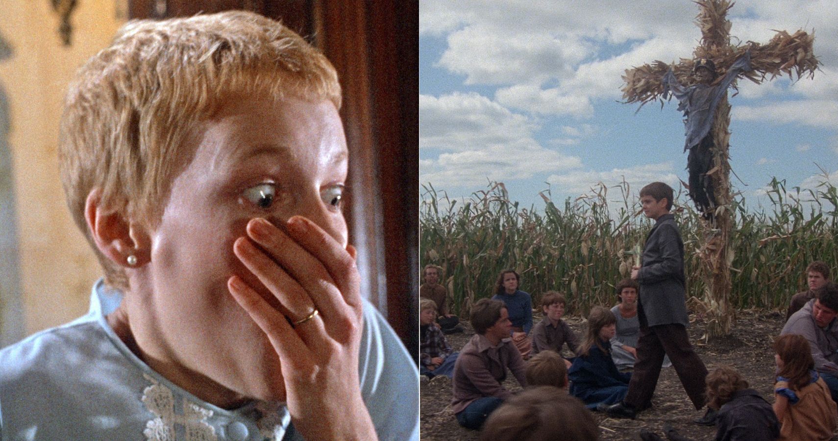 Creepy Cult Favorites: Films that Develop a Following